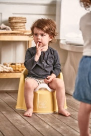 Baby Bjorn Potty Chair