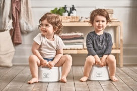 Baby Bjorn Smart Potty